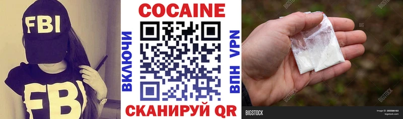 купить наркотики цена  Агрыз  Кокаин Fish Scale 