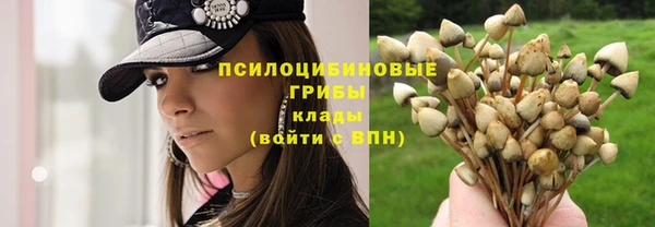 Альфа ПВП Абинск