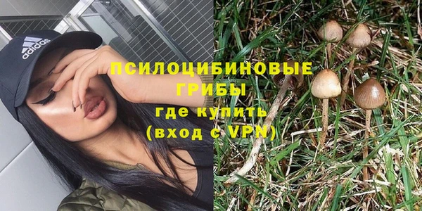 эйфоретик Абаза